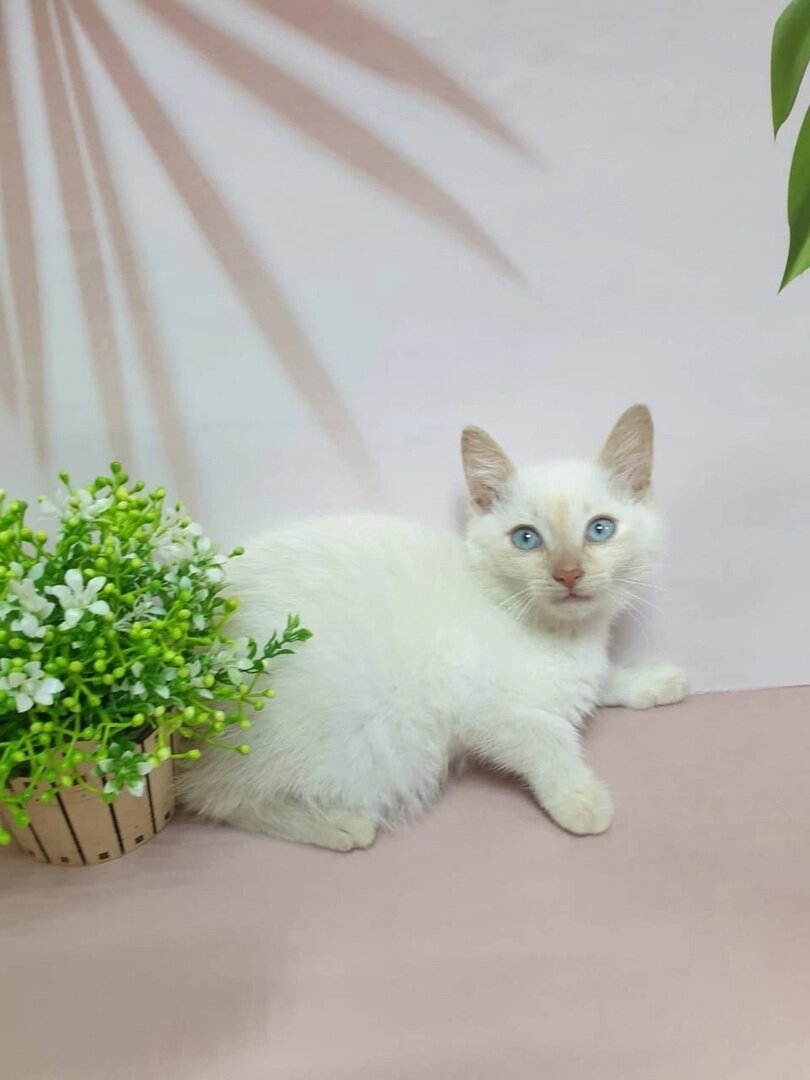 Возьмите нежность с собой