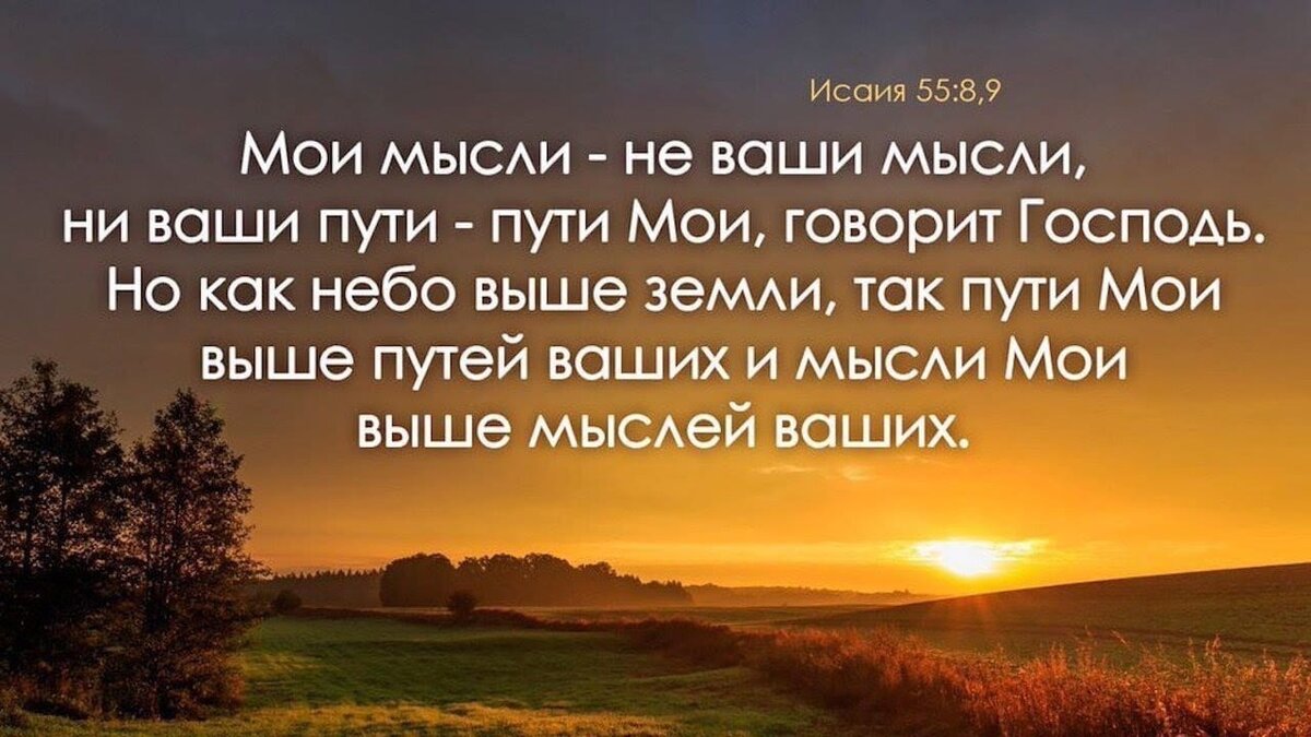 Источник: Яндекс. Картинки