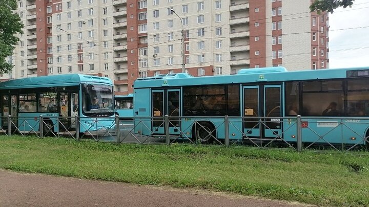ФОТО: КСЕНИЯ ДУДАРЕВА/ЦАРЬГРАД