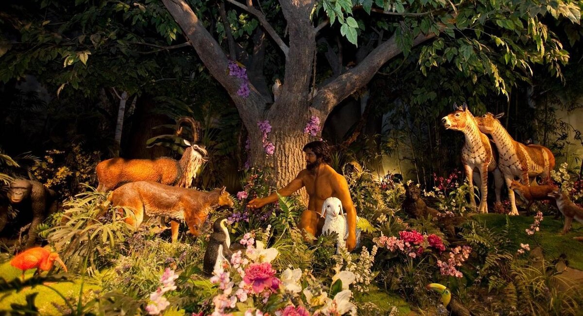 Рисунок из открытых источников