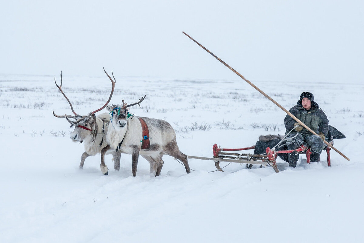 Фото: https://adm-nao.ru