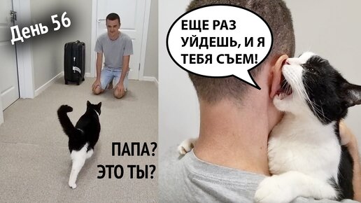 Настольная игра Три кота. День Рождения Папы