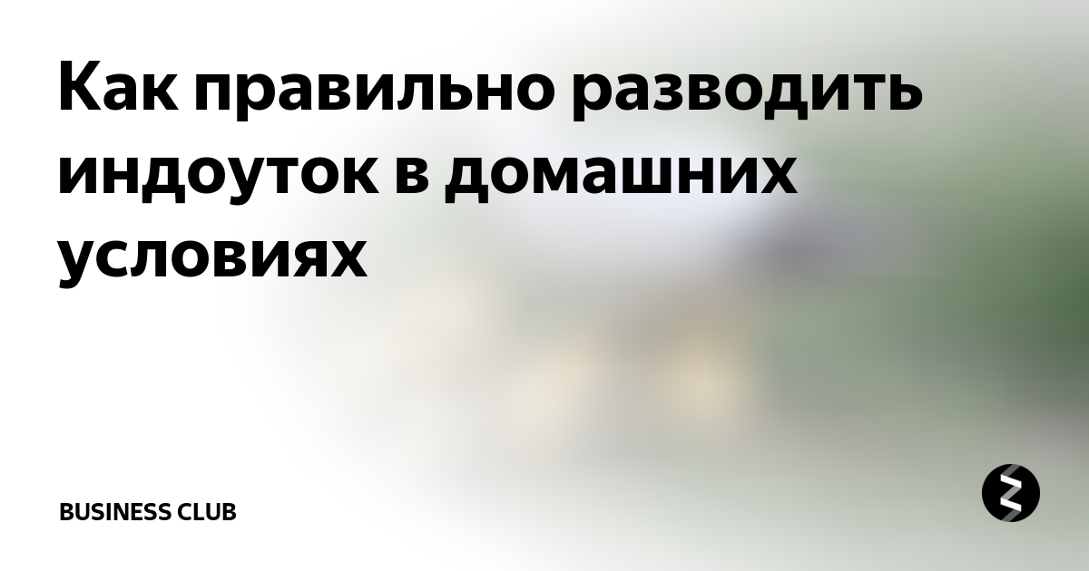 Цены «Хозяйственный магазин Всё в дом 24» в Санкт‑Петербурге — Яндекс Карты