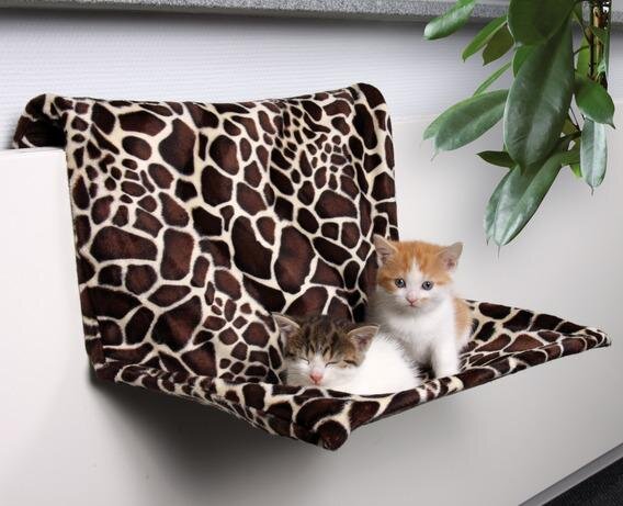 Гамак для кошки своими руками: стильная мебель для питомца