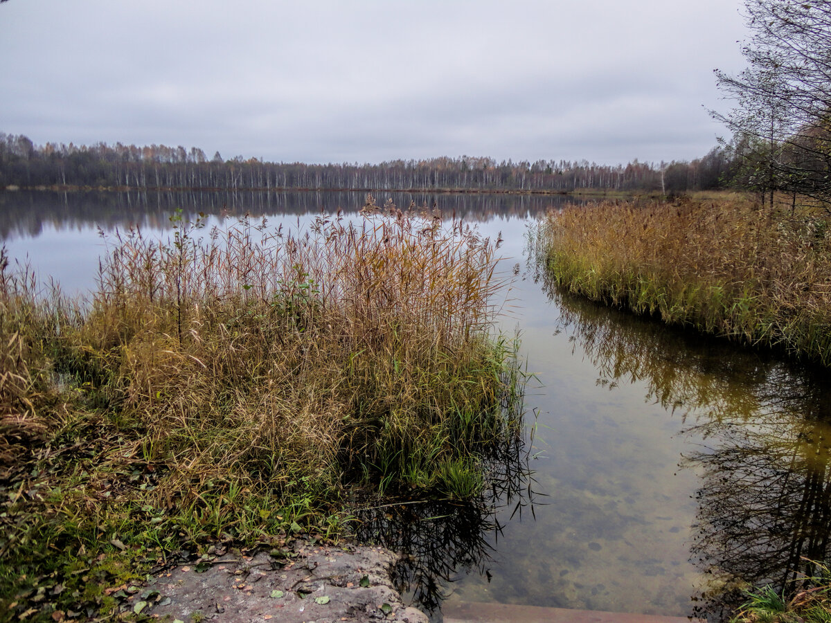 светлояр озеро в нижегородской области