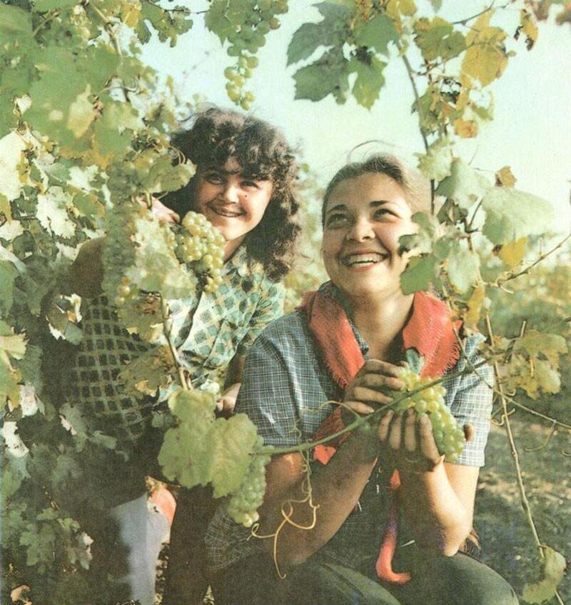 Поделились