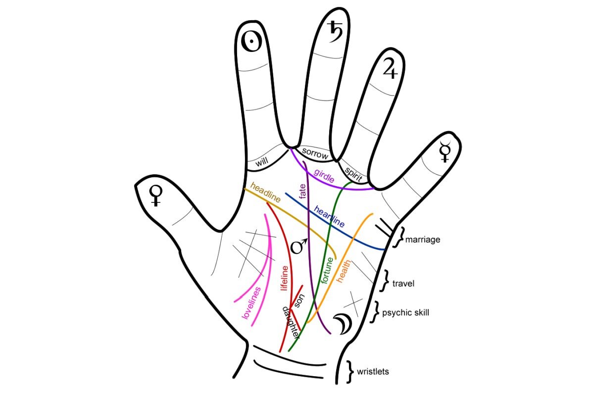 Где ладонь. Линии судьбы. Хиромантия. Линии на руке. Хиромантия линии.