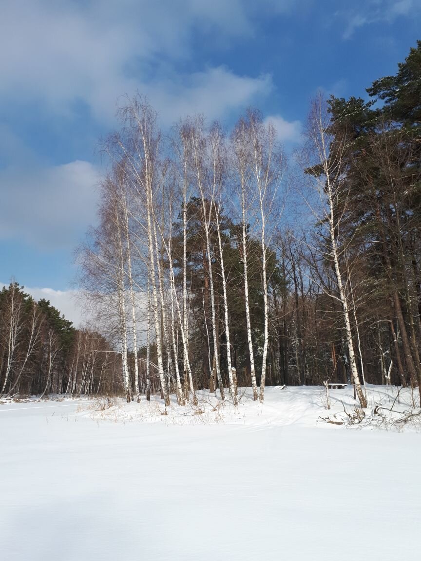 Фото Артем Ульшин