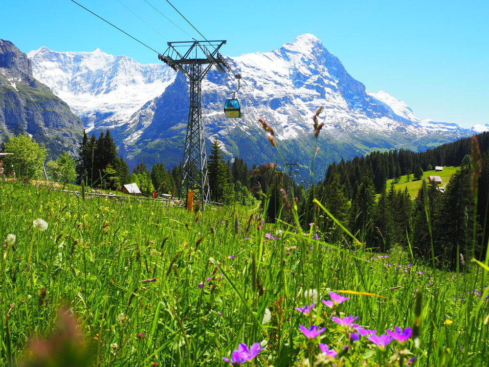 Фото: Shutterstock.com