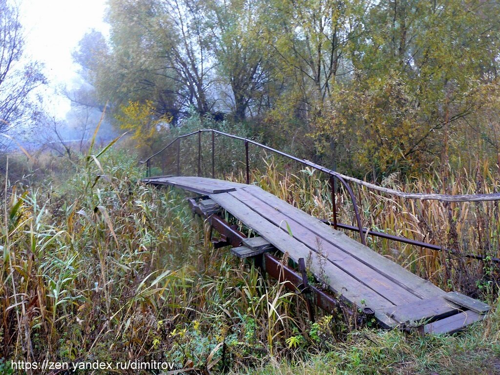 Сохрановка. ЖД станция Сохрановка. Сохрановка станица. Село Сохрановка фото.