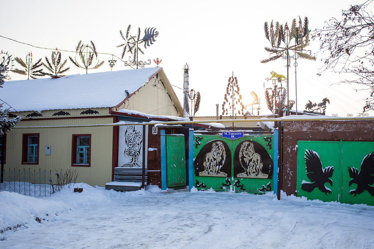 Дом Лаврентьева в Кормиловке не заметить невозможно. Львы на воротах во двор, на гаражных - парящие орлы, по коньку крыши - флюгеры и кинетические машины...