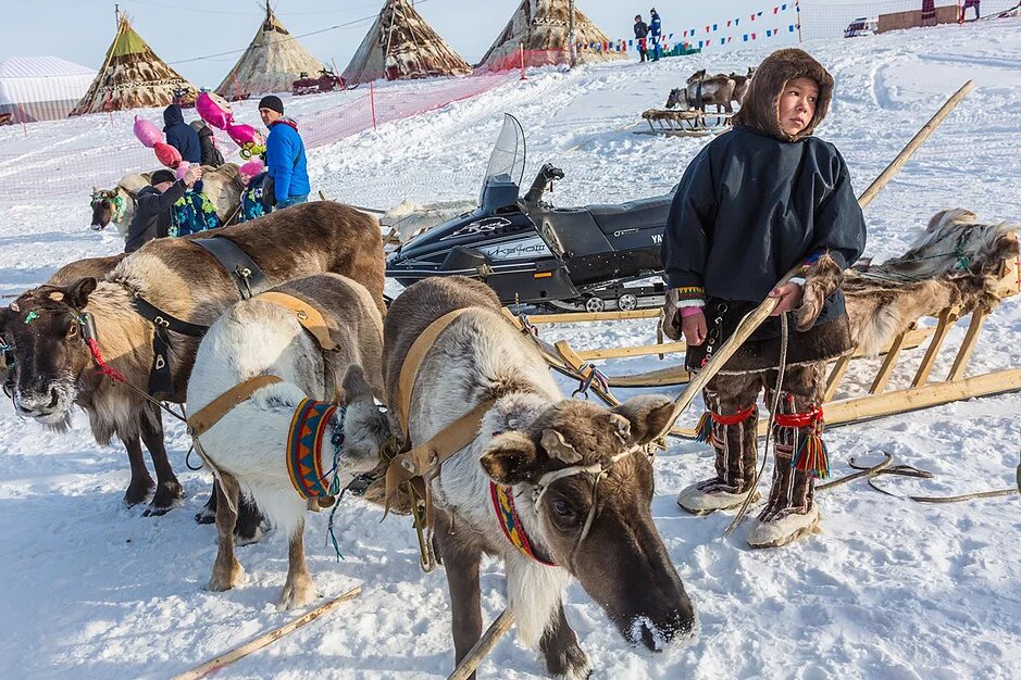Фото день оленевода саранпауль