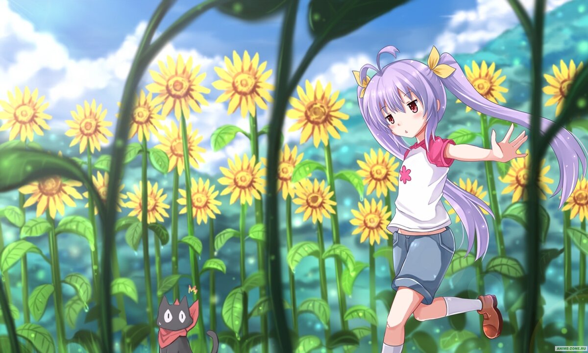 Non non Biyori аниме