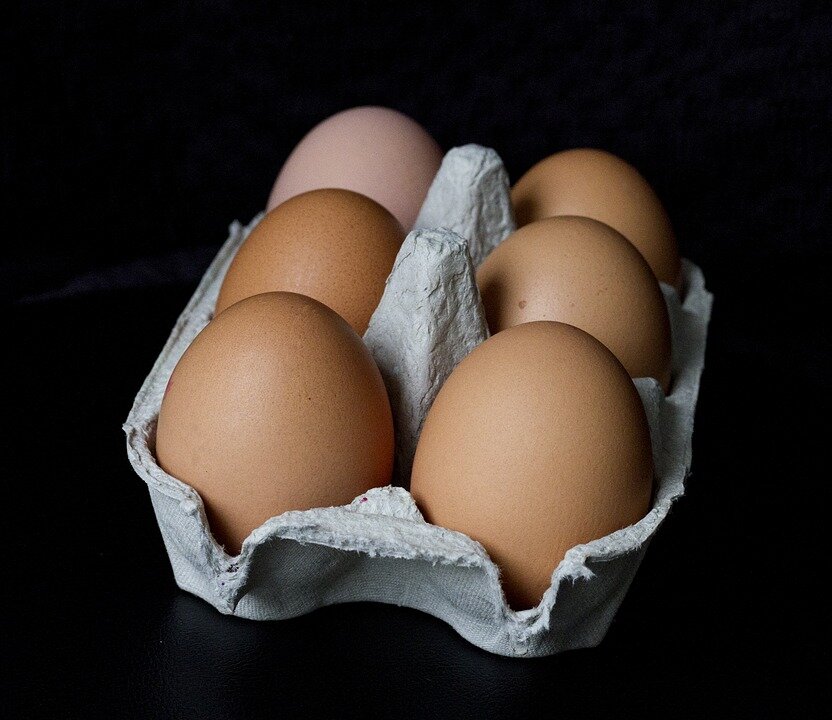 Яйца. Источник фото - pixabay.com