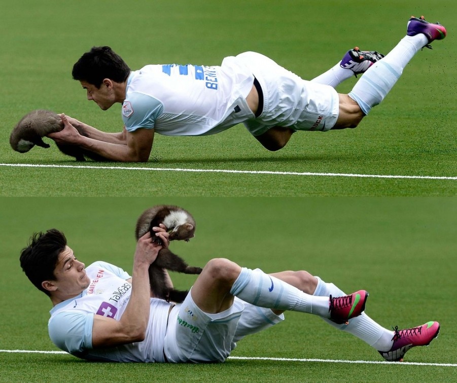 Источник: daypic.ru