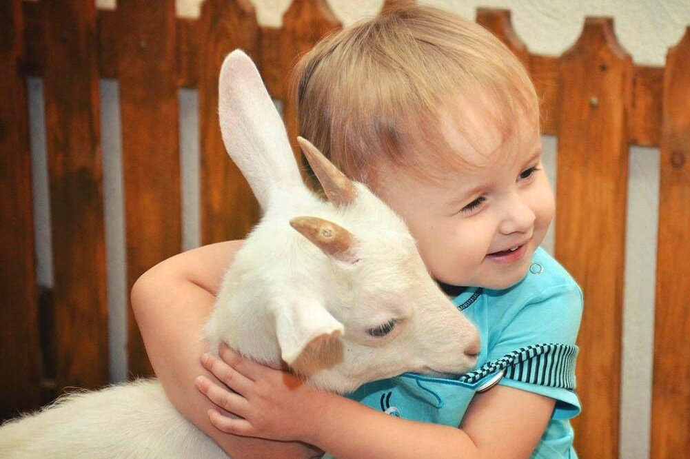 Заботясь о животных, ребенок учится доброте и любви