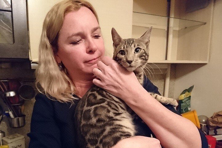 Фото: vk.com/koshkispas