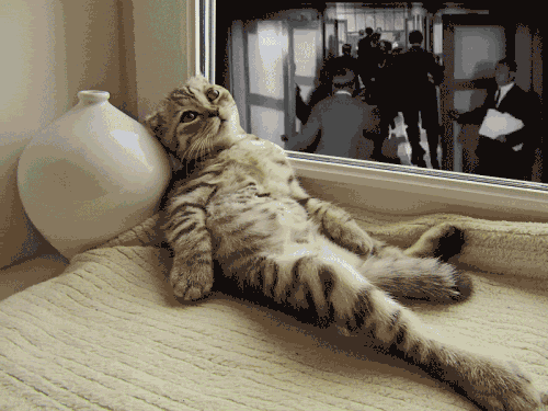 размышления, новый взгляд на жизнь