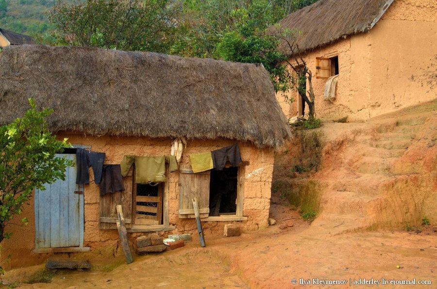2. В домике справа проживают все домашние животные. Там она родилась и жила до того, как мы ее забрали.

