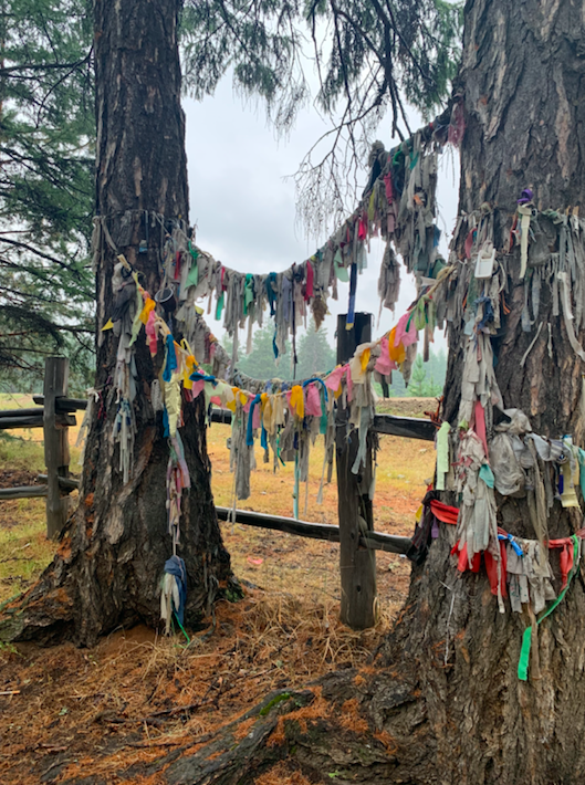 Непадалеку от села, где живет шаман. "Здесь похоронен Дружок, такая у нас была собака – помесь волка и овчарки", – рассказал нам сын шамана, он вез нас на машине к отцу.