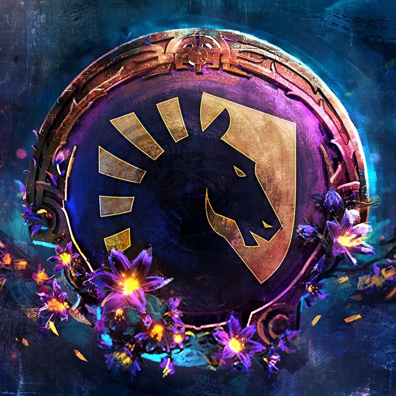 Источник: паблик Team Liquid вконтакте