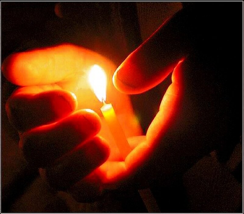 Фото: яндекс