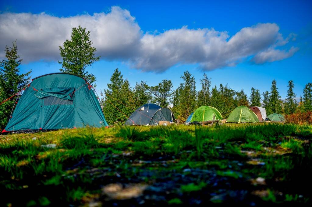 Фото: Владислав Мояк / КРАСНЫЙ СЕВЕР
