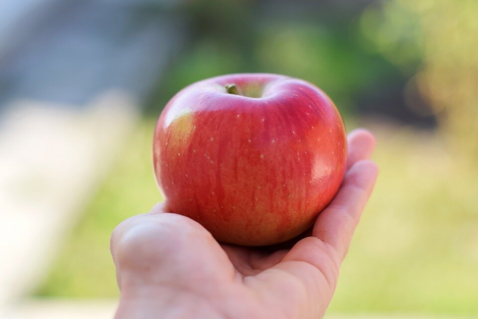 Обед пролетария (Фото pixabay.com. Автор:  katrinzita84)