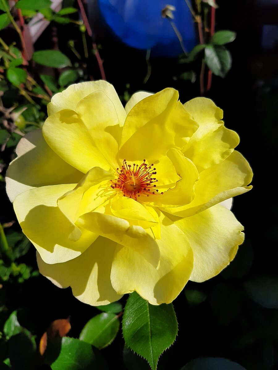 Копирайт Из личных архивов.