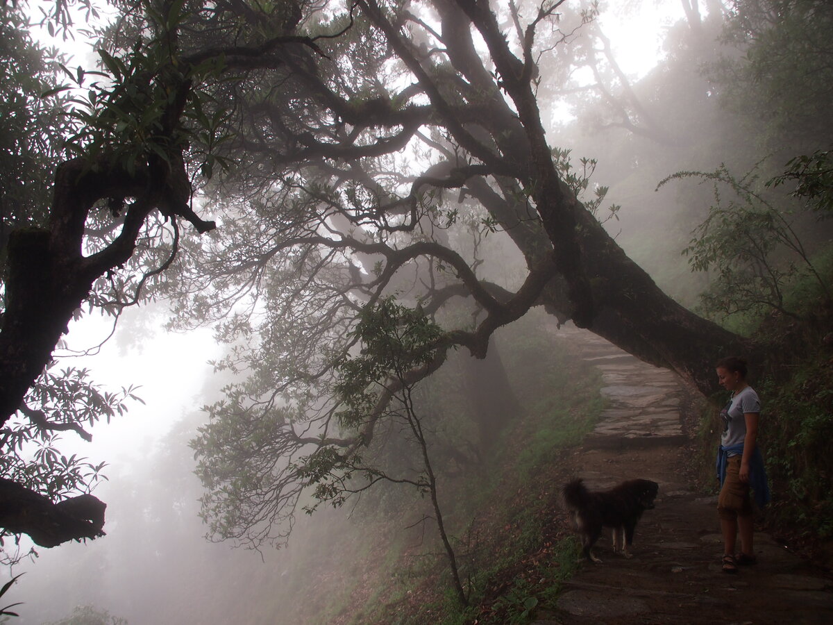 Трек на вершину
⠀
