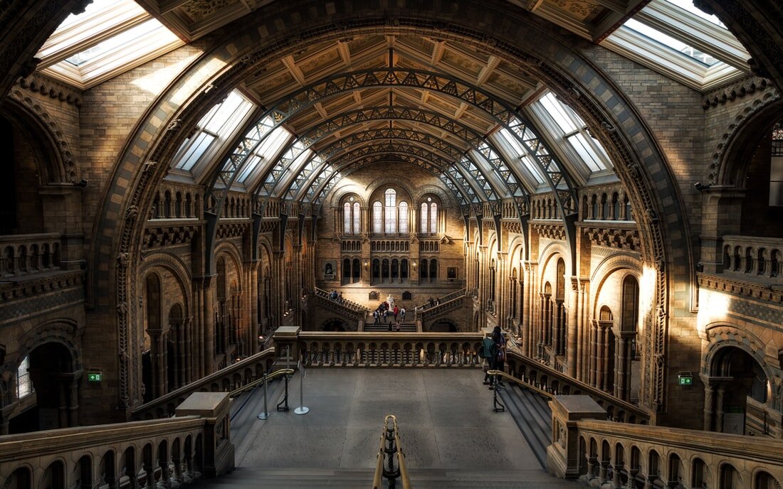 https://images.unsplash.com/photo-1491156855053-9cdff72c7f85?ixlib=rb-1.2.1&ixid=eyJhcHBfaWQiOjEyMDd9&auto=format&fit=crop&w=1100&q=80