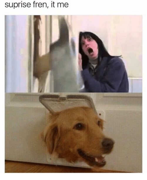 https://me.me/i/suprise-fren-it-me-15617938