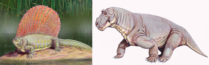 Представители пермской фауны эдафозавр и эстемменозух. /Фото:paleontologylib.ru