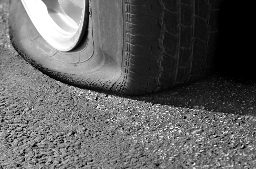 Яндекс фото