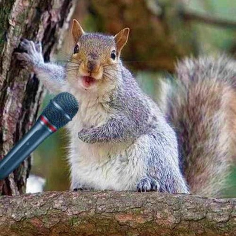  Яндекс картинки