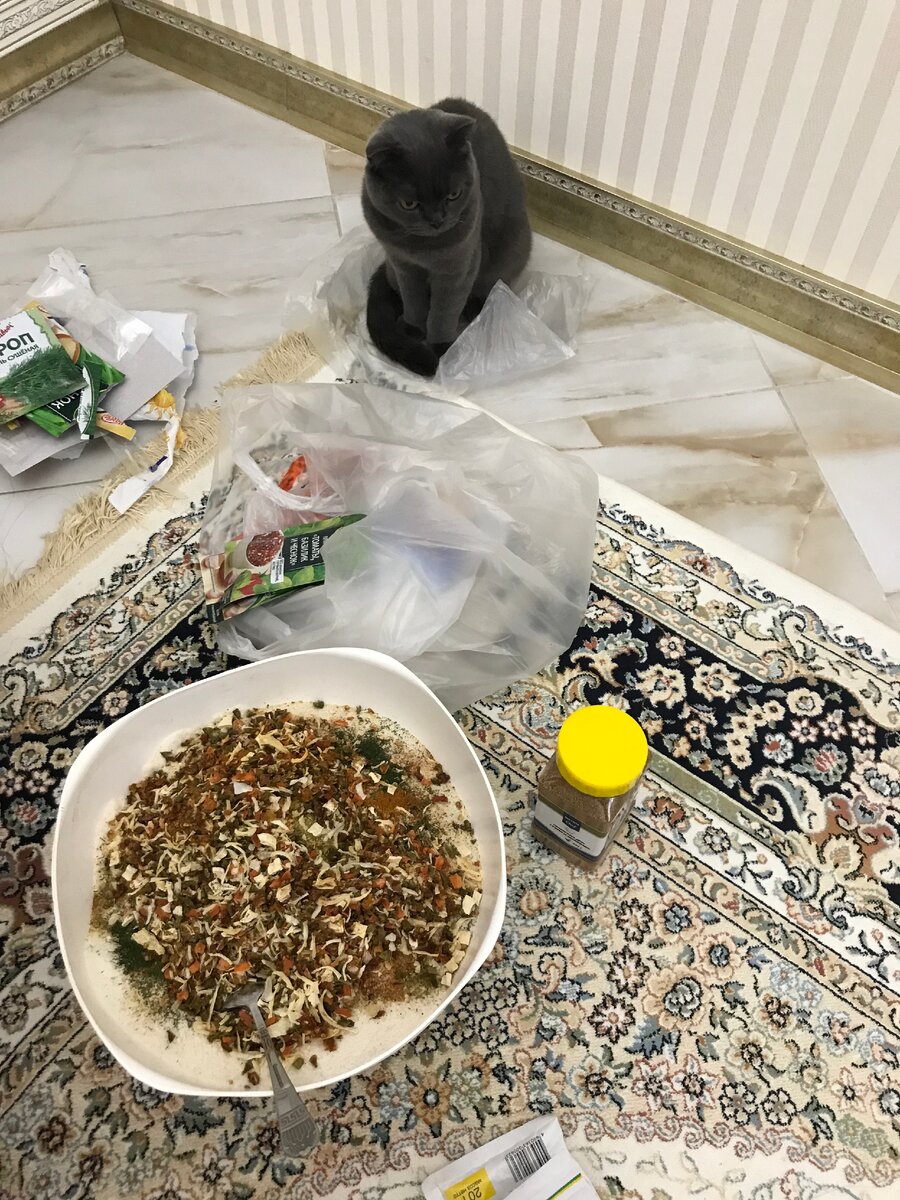 Моя кошка Мила тоже учится, как правильно делать Адыгейскую соль)