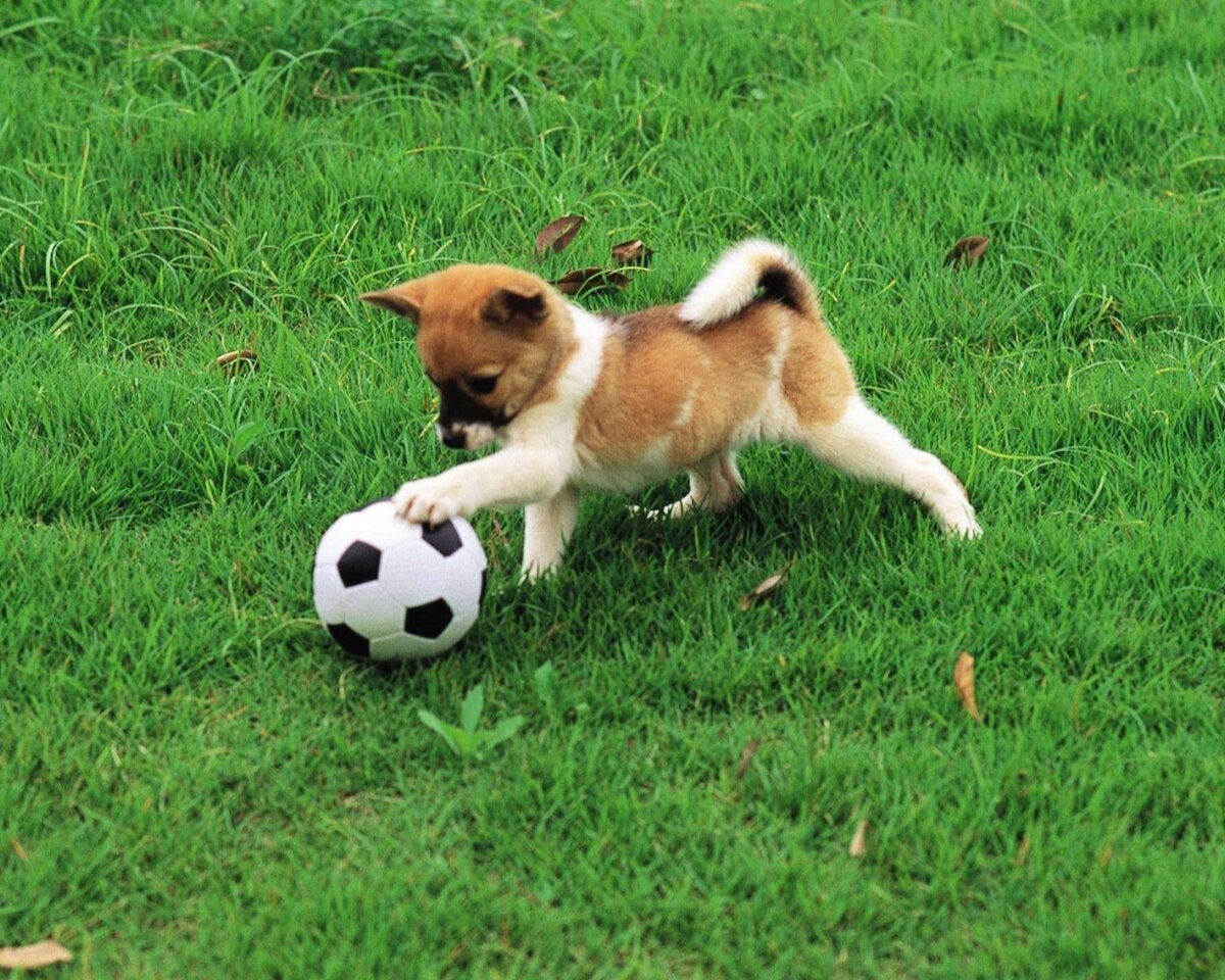 Источник взят с яндекса