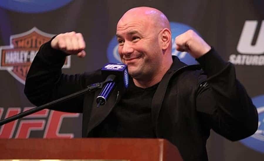 Промоушен UFC провел в 2017 году 39 турниров в 34-х различных городах, расположенных в 14 различных странах на пяти континентах. Если смотреть на колличество ивентов, то это один из самых скромных показателей за пять лет. Только в 2013 году турниров было меньше 