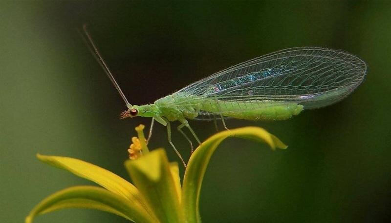 Старикам, рожденным до 1965 года, положены огромные выплатыПодробнееСильнейший астролог не стал молчать! Вот что будет с РоссиейПодробнееМир вздрогнул: заявление Путина стало ударомПодробнее