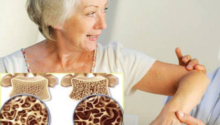 Яндекс Картинки