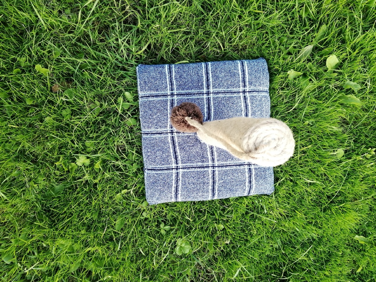 Когтеточка