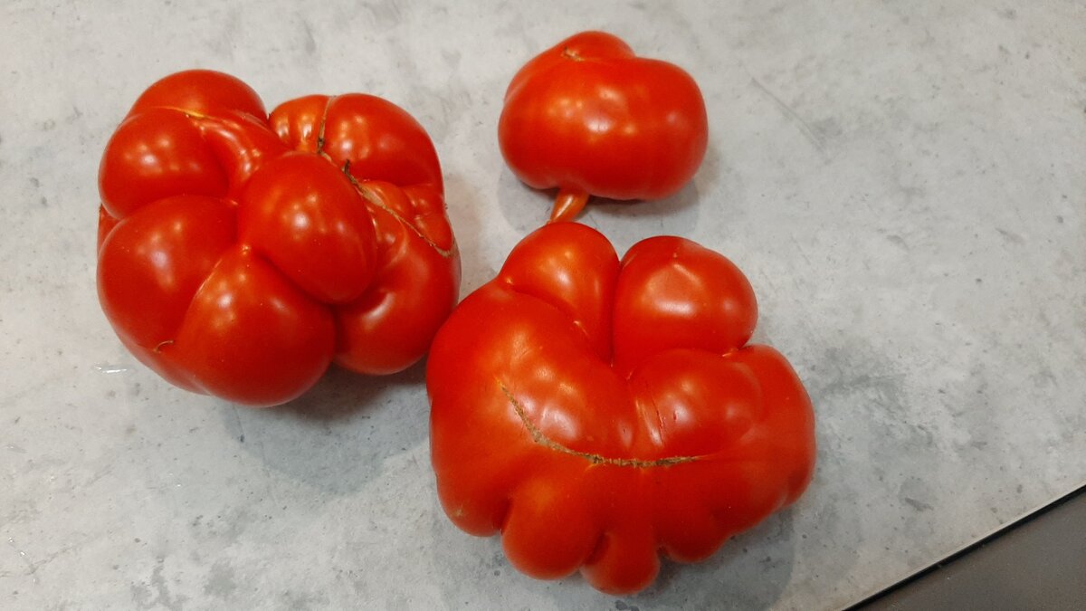 из личного архива