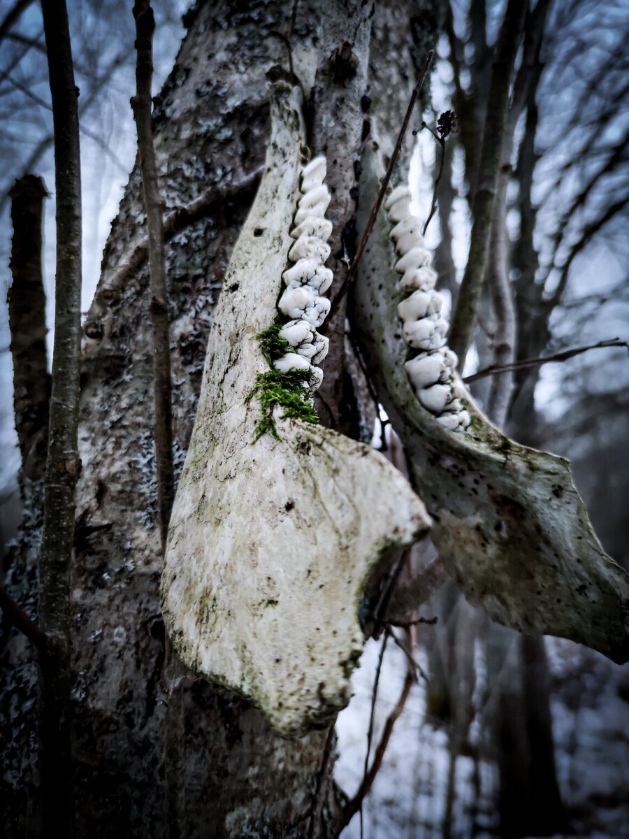 Фото автора канала