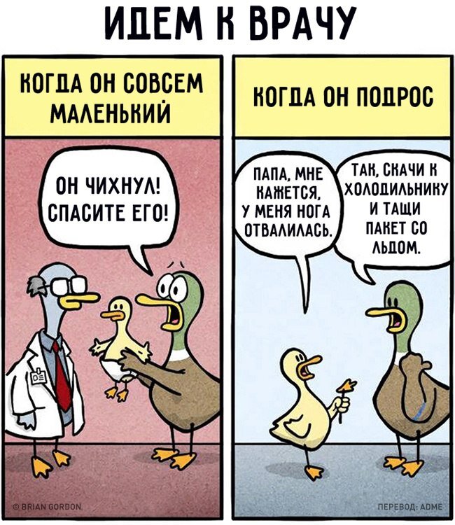 Источник фото: Яндекс картинки