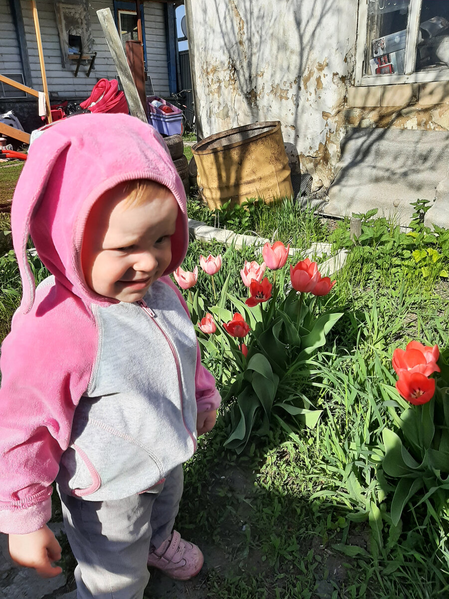 Мира с тюльпанами
