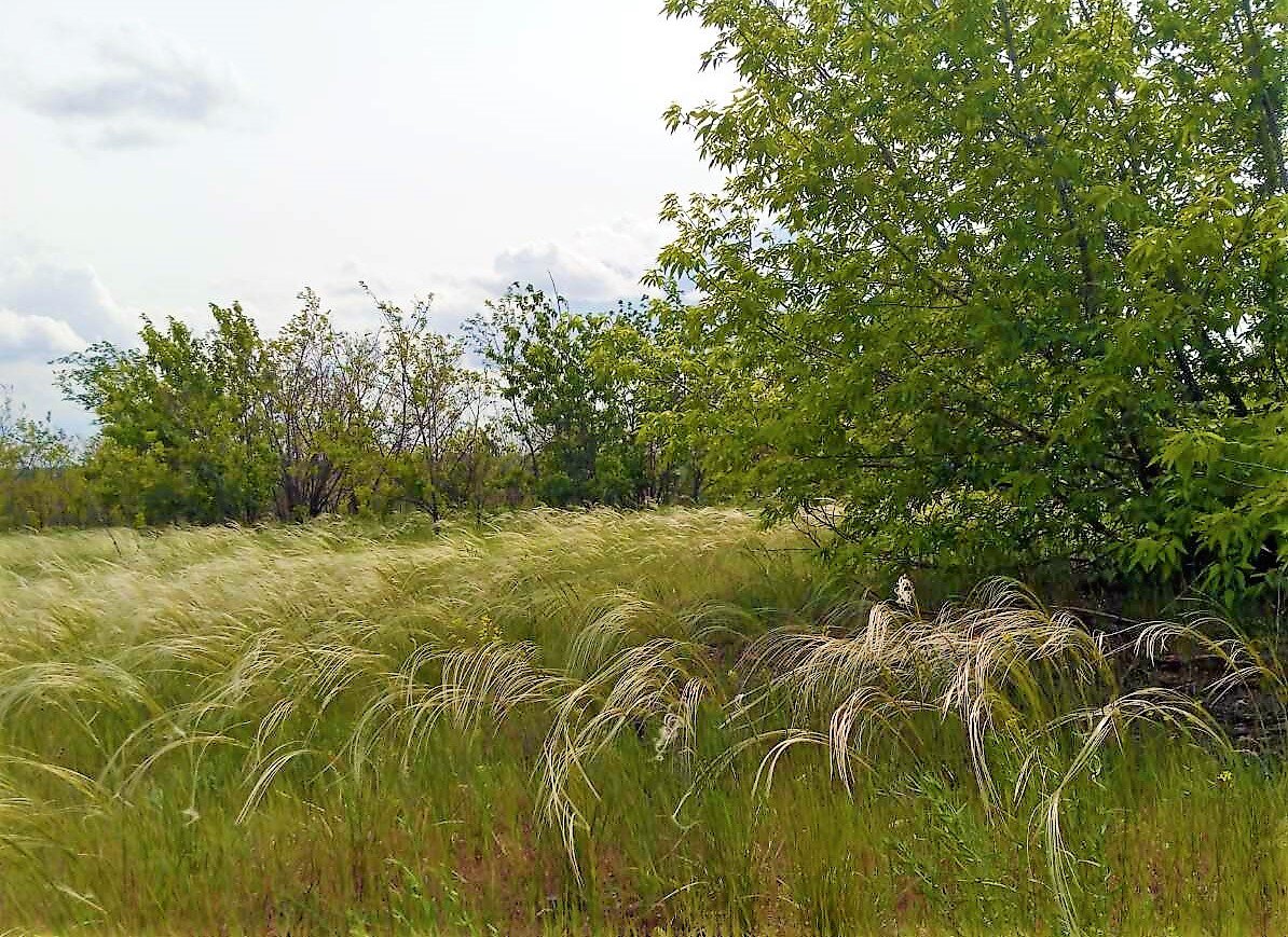 Фото автора канала ***Мама Лора***