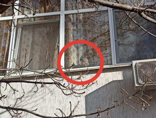Маняха отслеживает всех, кто проходит через наш двор 