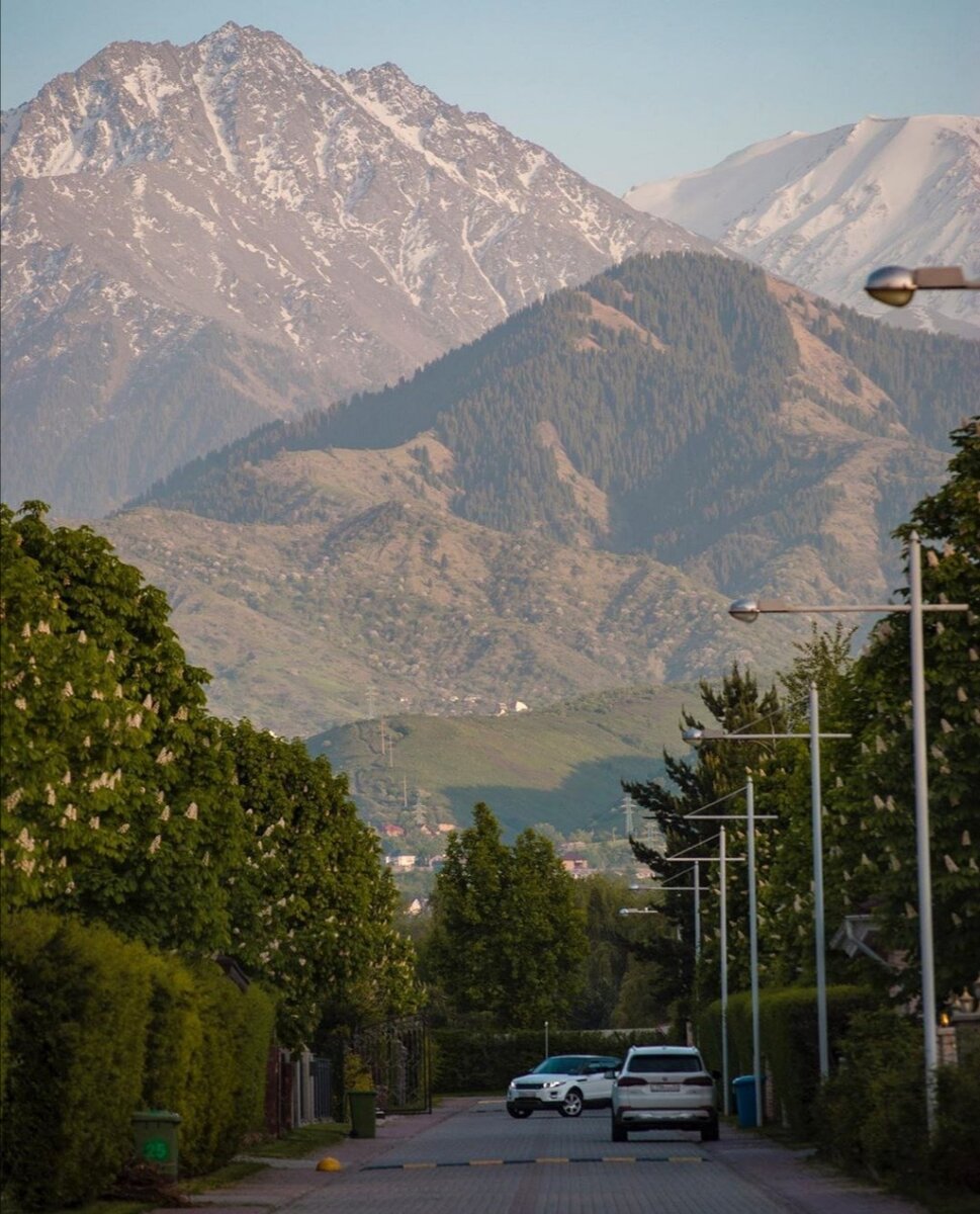 Алмаата город Стелла