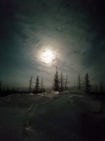 Фотография из личного архива автора