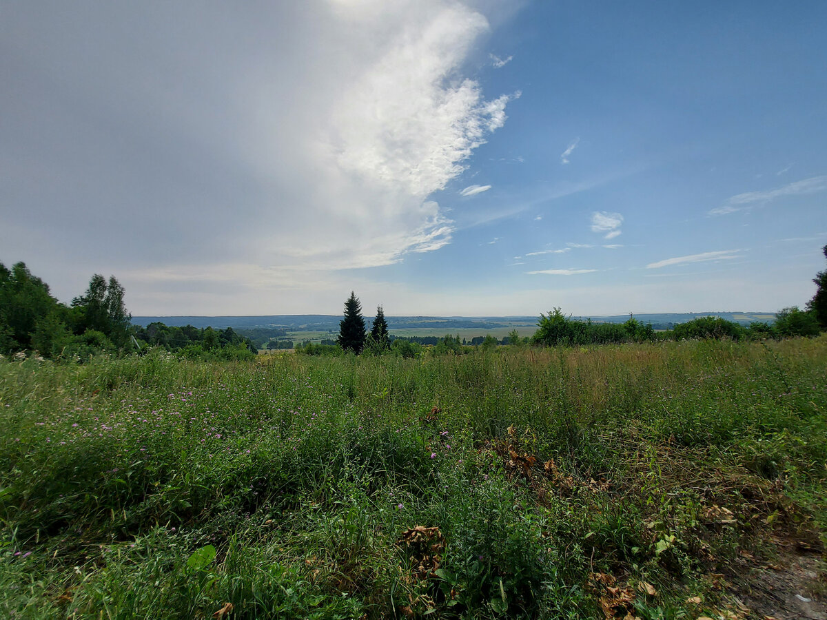 Подмосковные просторы